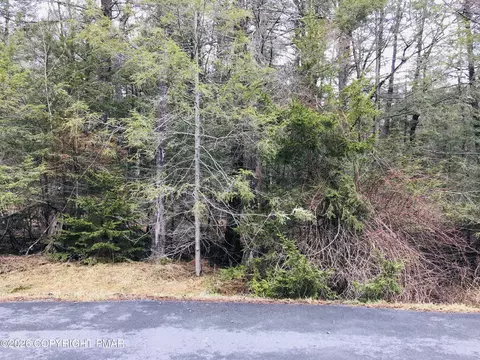 199 Sir Jeoffrey Court, Pocono Lake, PA 18347