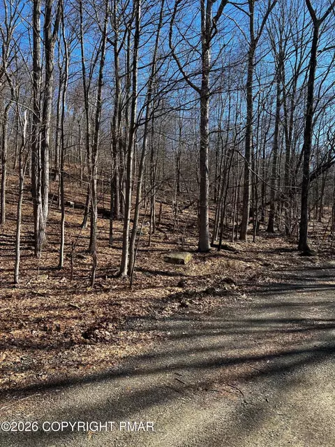 Berry Lane, Cresco, PA 18326