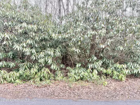 lot49 A Susquehanna Dr, Jim Thorpe, PA 18229