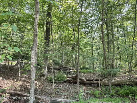 St Moritz Ct 4f, Henryville, PA 18332