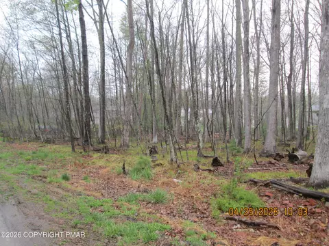 8 West White Oak Drive, Tannersville, PA 18372