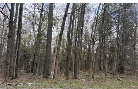 Chipmunk Trail, Hawley, PA 18428