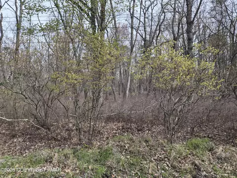 lot20 Big Oak Rd, Canadensis, PA 18325
