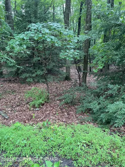 70 Woodland Rd, Albrightsville, PA 18210