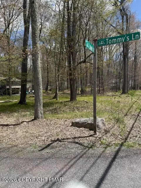 301 Tommys Ln, Pocono Lake, PA 18347