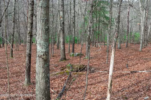 0 Station Hill Rd, Henryville, PA 18332
