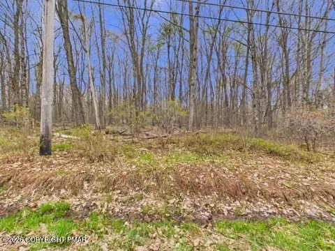 617 Berry Ln 617 Ln, Pocono Lake, PA 18347