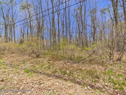 618 Berry Ln 618 Ln, Pocono Lake, PA 18347