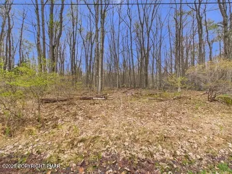 619 Berry Ln 619 Ln, Pocono Lake, PA 18347