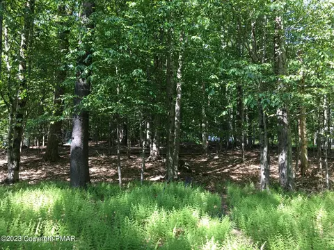 lot615 Locust Ln, Pocono Lake, PA 18347