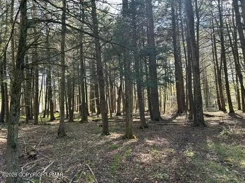 George Drive, Pocono Lake, PA 18347