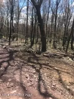Cree Trail, Albrightsville, PA 18210