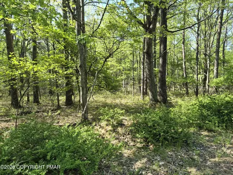 Lower Seese Hill Rd Road, Canadensis, PA 18325