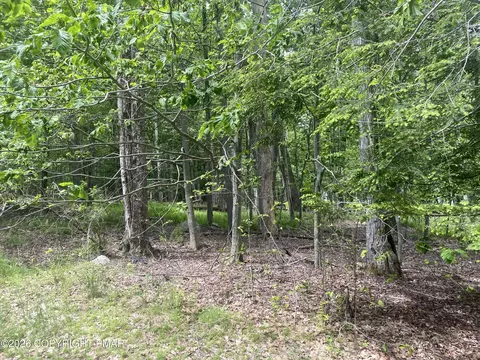 86 Lookout Point Rd, Canadensis, PA 18325
