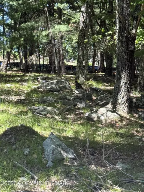 Song Mountain Drive, Tafton, PA 18464