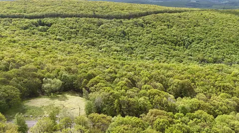 Arciel Drive, Albrightsville, PA 18210