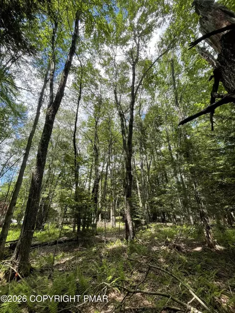 Pine Rd 67 Road, Pocono Pines, PA 18350