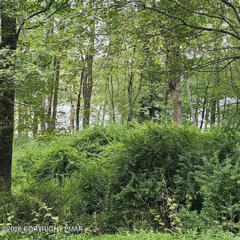 45 Lake Russell Rd, Newfoundland, PA 18445
