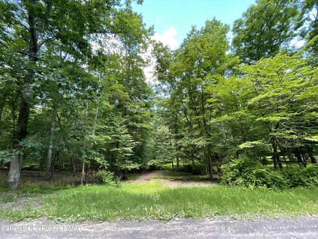 196 Stony Run Dr, Cresco, PA 18326