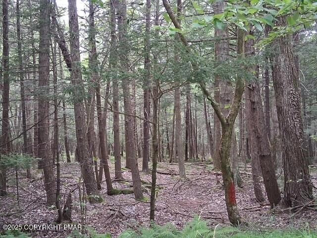 18 Robyn Ln, Pocono Lake, PA 18347