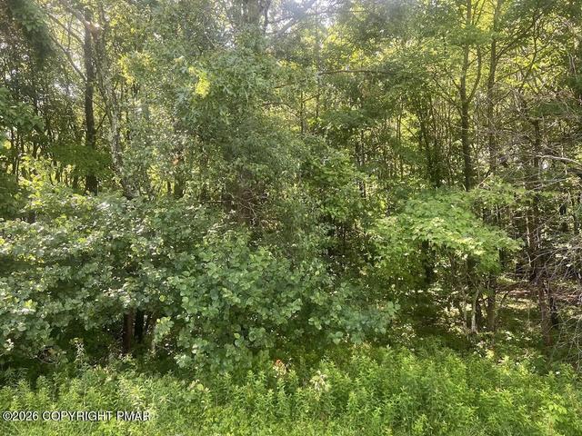 303 Sylvester Drive, Long Pond, PA 18334