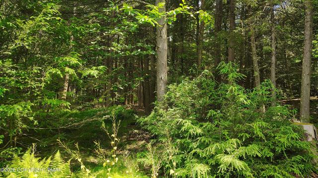 Somerset Dr 14, Tobyhanna, PA 18466