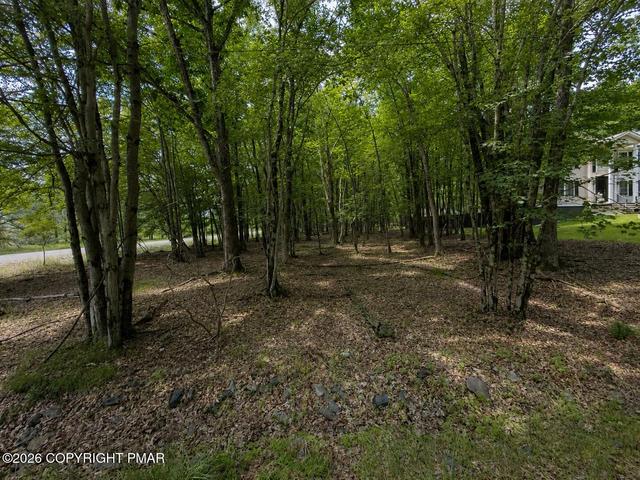 Antler Trail Lot 421, Albrightsville, PA 18210