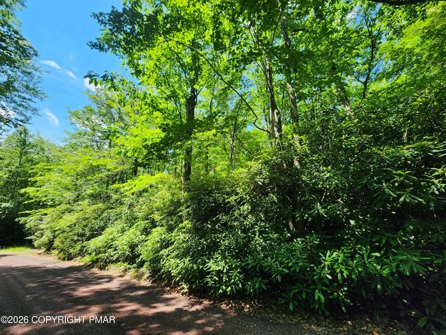lot A48 Rhododendron Rd, Jim Thorpe, PA 18229