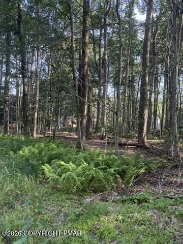 1516 Sweet Briar Rd, Pocono Pines, PA 18350