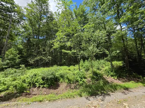 lot17 10 Zoe Rd, Blakeslee, PA 18610