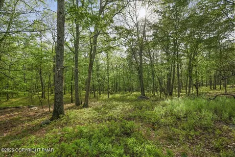 2329 Cramer Ct, Bushkill, PA 18324 photo 39