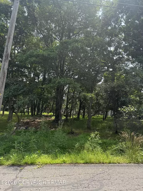 Caddo Terrace, Albrightsville, PA 18210