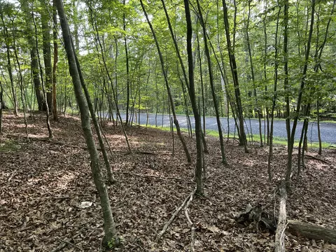 Yukon Drive, East Stroudsburg, PA 18302