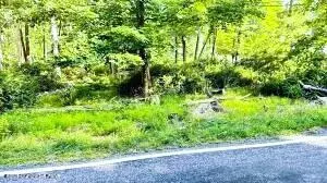 Metzgar Road, East Stroudsburg, PA 18301