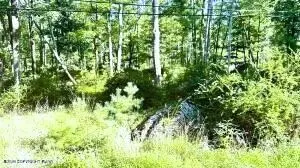 Metzgar Rd Road, East Stroudsburg, PA 18301