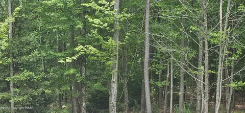 406 Ash Drive, Pocono Summit, PA 18346
