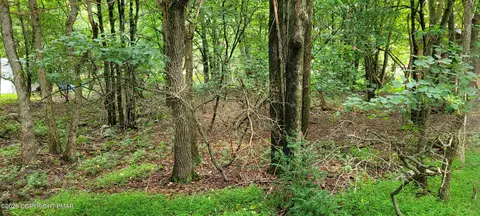 Ev1278 Lipo Way, Albrightsville, PA 18210