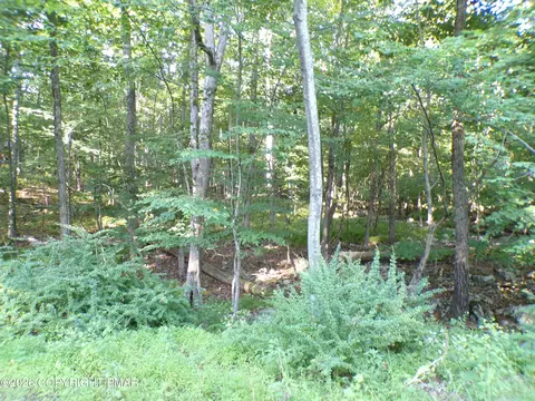 Blue Ridge Dr 1208 Drive, Canadensis, PA 18325