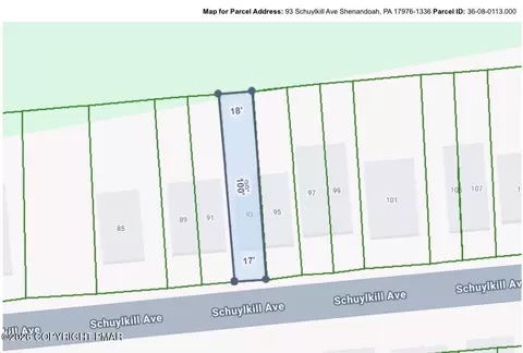 93 Schuylkill Ave, Shenandoah, PA 17976