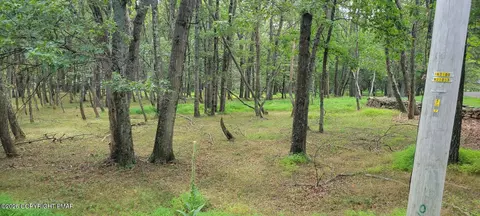 Chippewa 718 Trail, Albrightsville, PA 18210