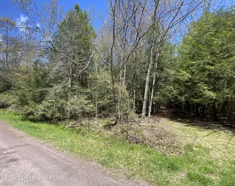 Waverly St 24, Pocono Summit, PA 18346