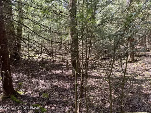 Waverly St 24, Pocono Summit, PA 18346