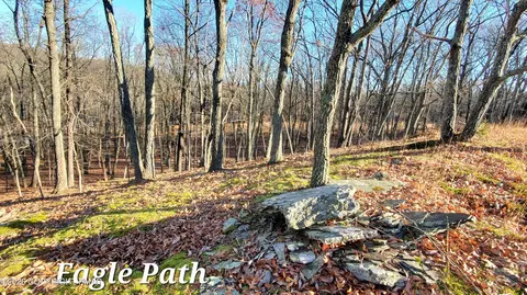 193 Lot Eagle Path, Bushkill, PA 18324 photo 6
