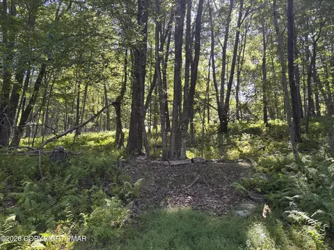 Ski Trail 32, Pocono Lake, PA 18347