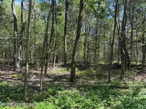 20 Wildbrook Dr, Newfoundland, PA 18445