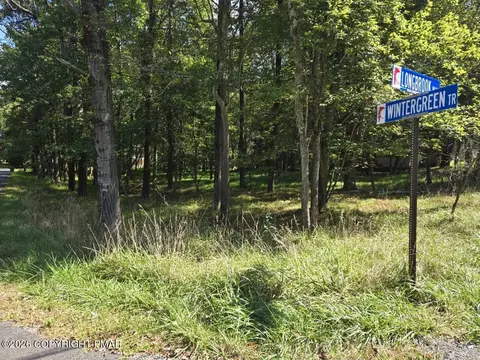 Wintergreen Trail & Longbrook, Albrightsville, PA 18210