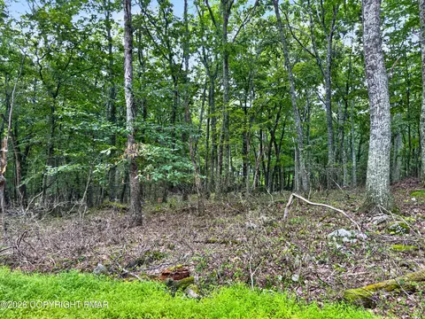 Cowaw Road, Milford, PA 18337
