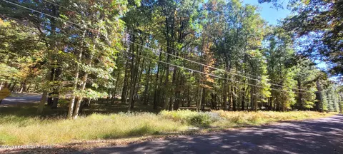 A310 Towamensing Trail & Byron Lane, Albrightsville, PA 18210