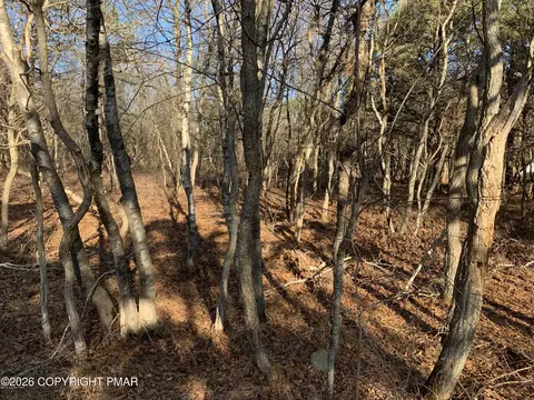 Chippewa Trail, Albrightsville, PA 18210