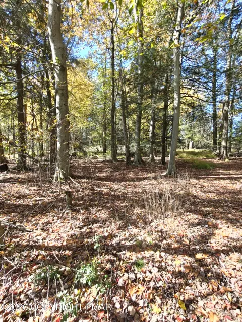 6149 Victoria Dr, Tobyhanna, PA 18466